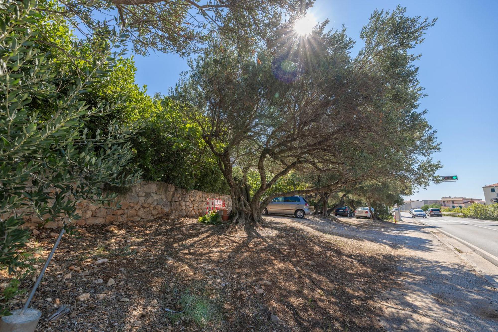 Apartmani Marta Tučepi Exteriör bild