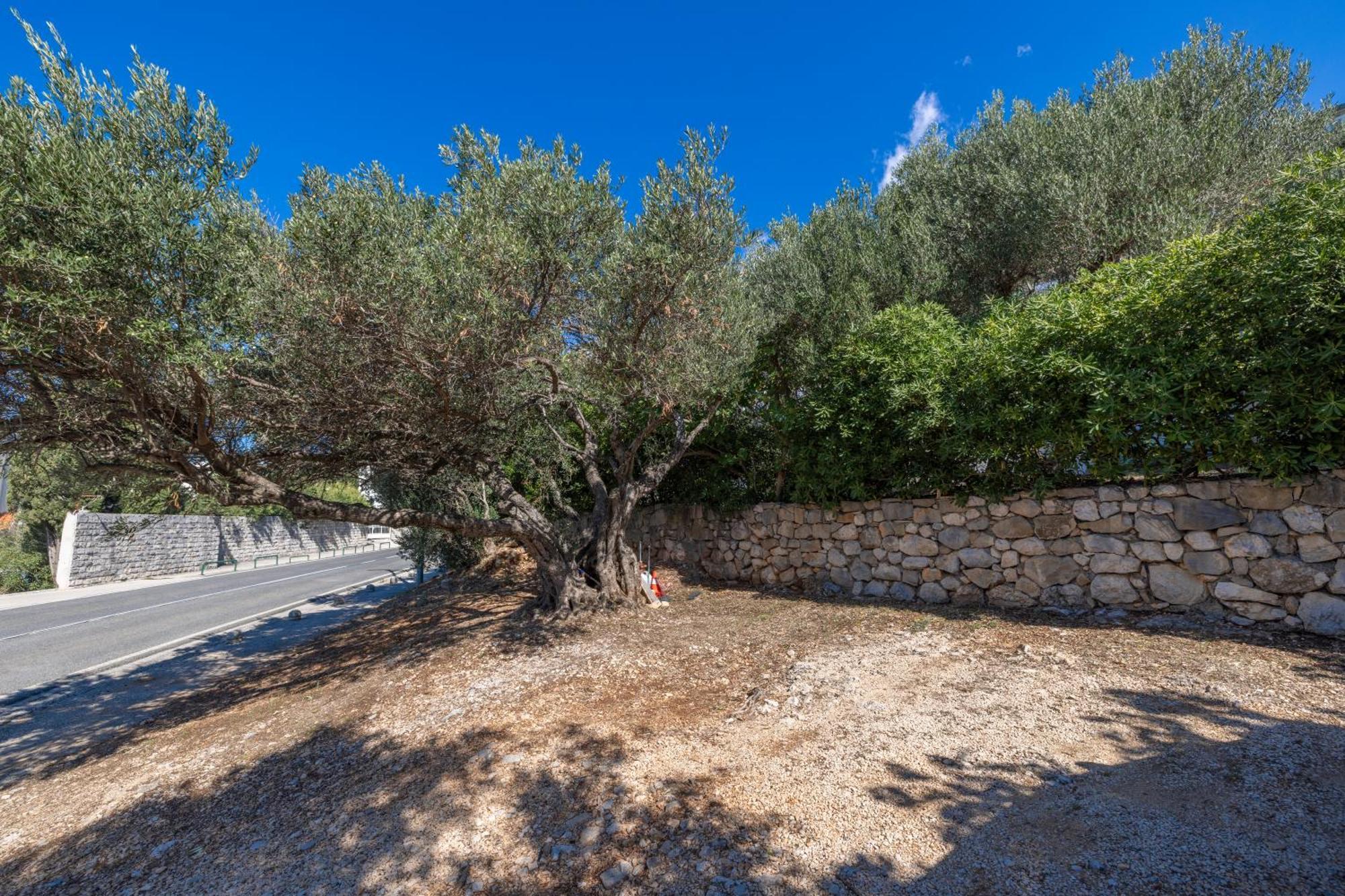Apartmani Marta Tučepi Exteriör bild